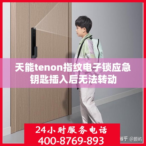 天能tenon指纹电子锁应急钥匙插入后无法转动