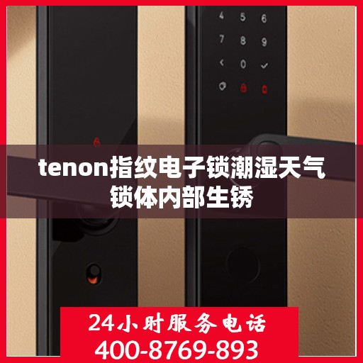 tenon指纹电子锁潮湿天气锁体内部生锈