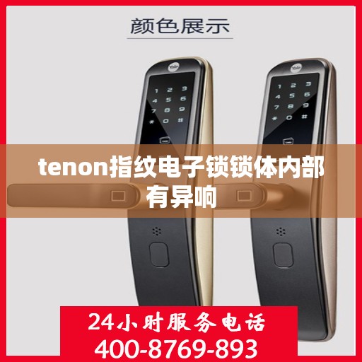 tenon指纹电子锁锁体内部有异响