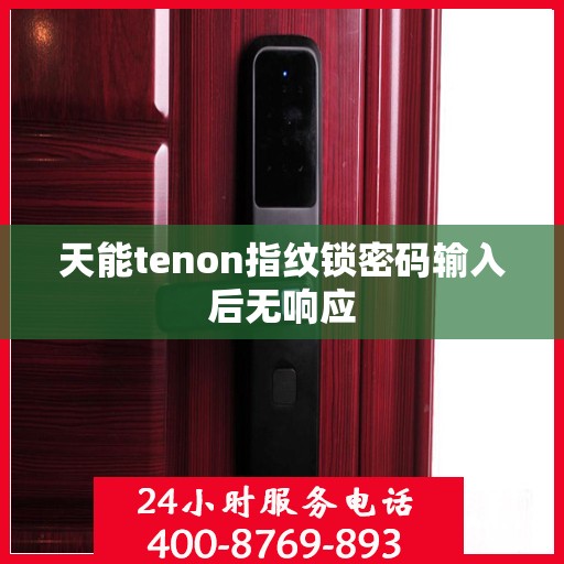 天能tenon指纹锁密码输入后无响应