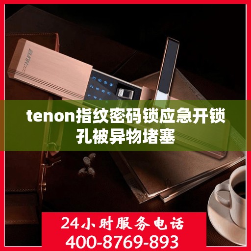 tenon指纹密码锁应急开锁孔被异物堵塞