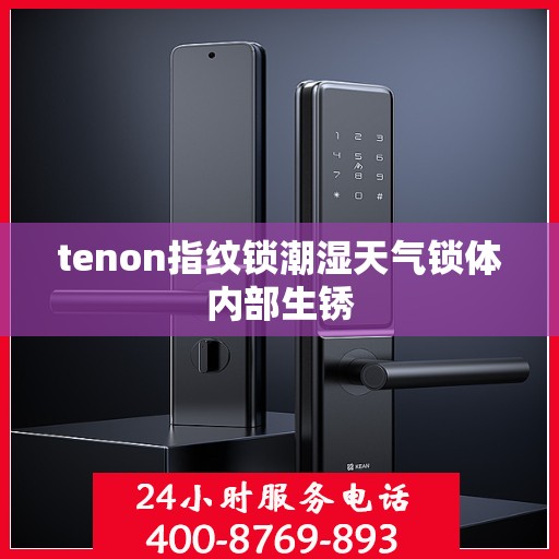 tenon指纹锁潮湿天气锁体内部生锈