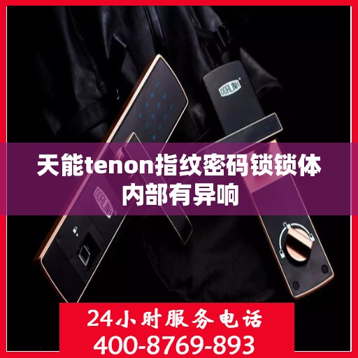 天能tenon指纹密码锁锁体内部有异响