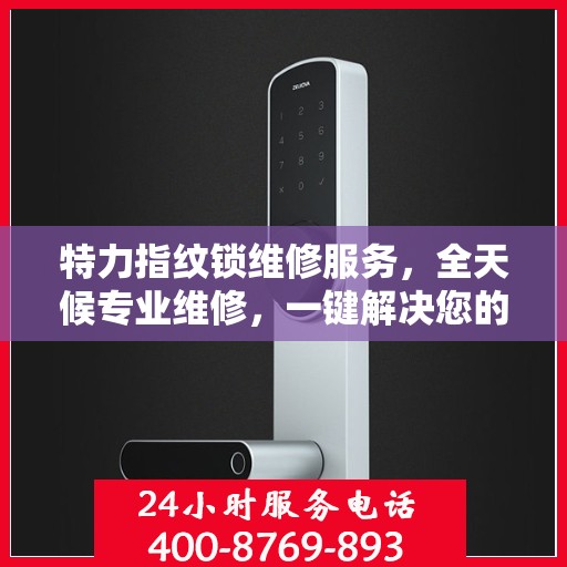 特力指纹锁维修服务，全天候专业维修，一键解决您的锁事困扰