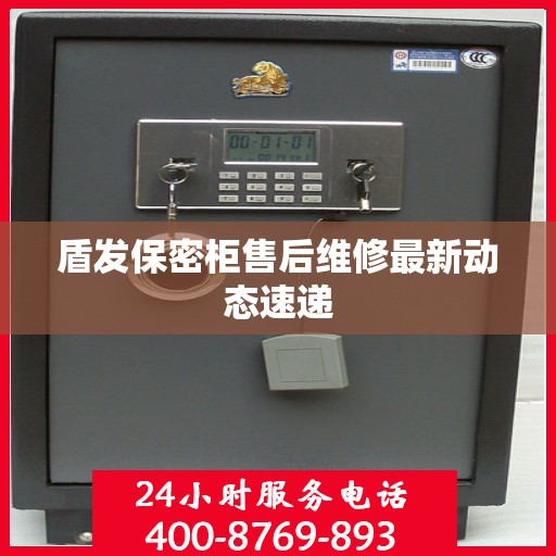 盾发保密柜售后维修最新动态速递