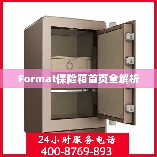 Format保险箱首页全解析