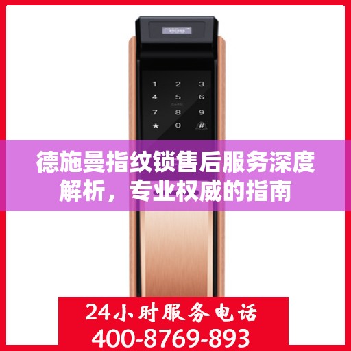 德施曼指纹锁售后服务深度解析，专业权威的指南