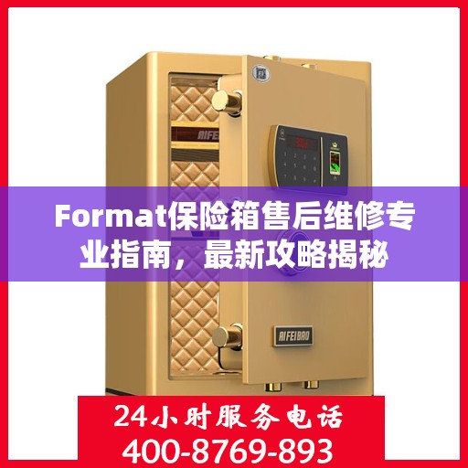 Format保险箱售后维修专业指南，最新攻略揭秘