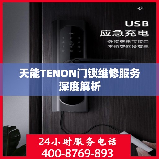 天能TENON门锁维修服务深度解析