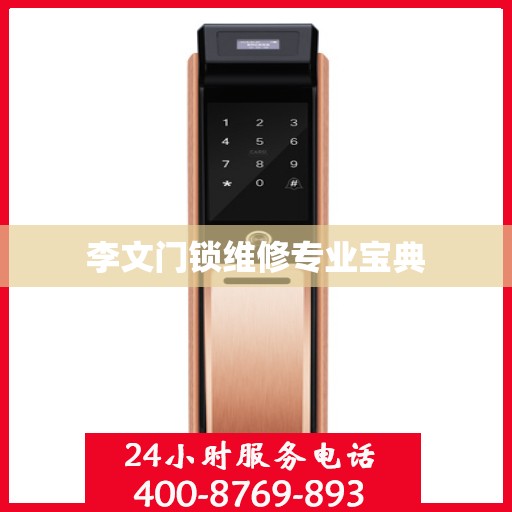 李文门锁维修专业宝典