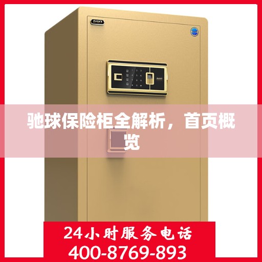 驰球保险柜全解析，首页概览