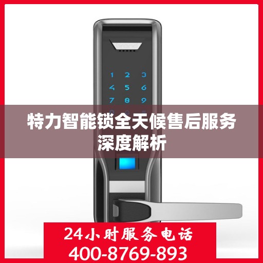 特力智能锁全天候售后服务深度解析