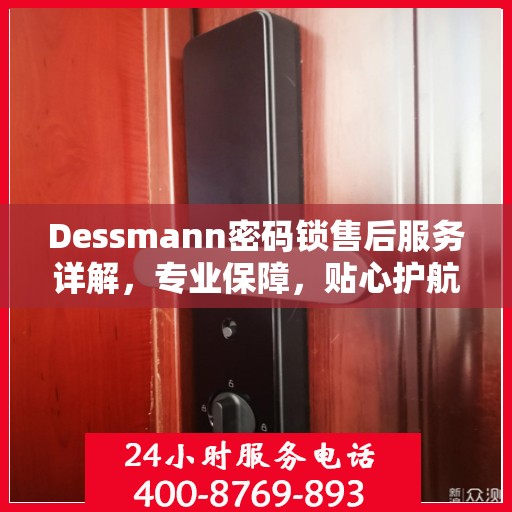 Dessmann密码锁售后服务详解，专业保障，贴心护航您的安全锁事