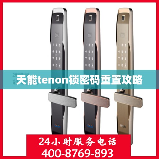 天能tenon锁密码重置攻略