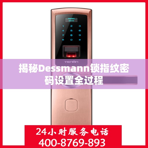 揭秘Dessmann锁指纹密码设置全过程