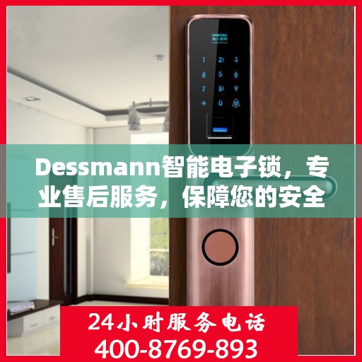 Dessmann智能电子锁，专业售后服务，保障您的安全之选