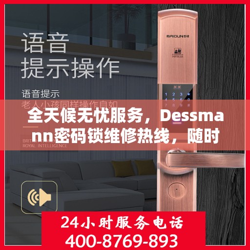全天候无忧服务，Dessmann密码锁维修热线，随时响应您的需求